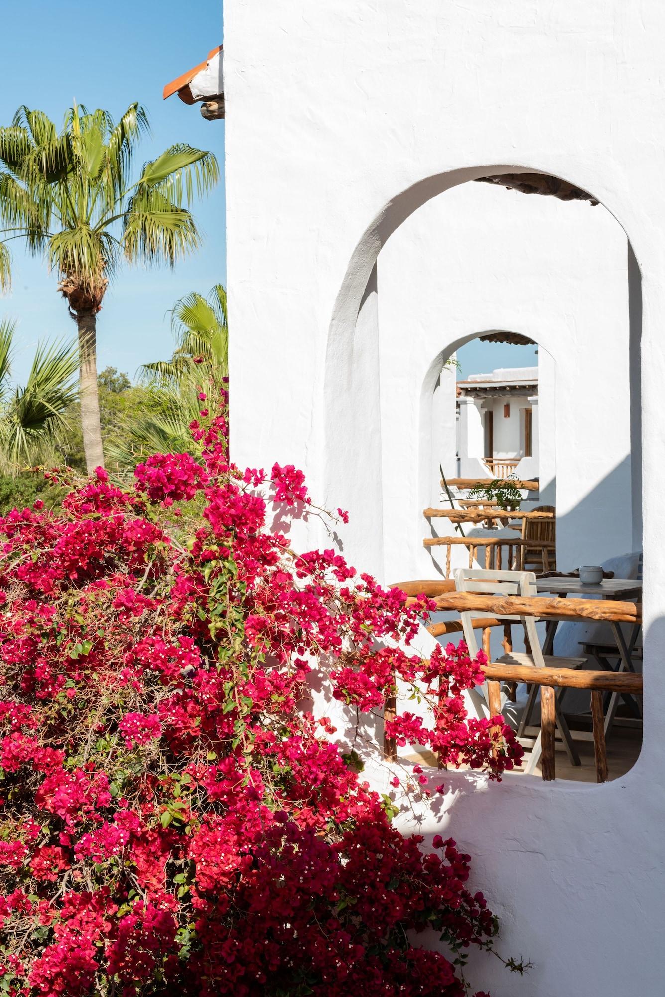 Hotel Petunia Ibiza (Adults Only) San José Exterior foto